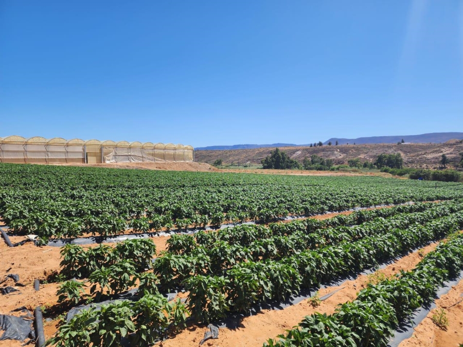 0 Bedroom Property for Sale in Klawer Western Cape